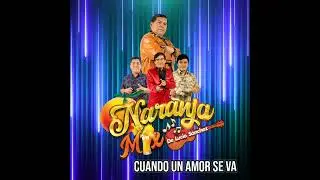 CUANDO UN AMOR SE VA - LUCIO S&Aacute;NCHEZ Y NARANJA MIX