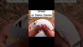 damn Daniel 🥶🥶 #shorts #funny #lol memes