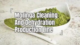 Fully Automated Moringa Leaf Processing Line | Creating High Value-Added Products