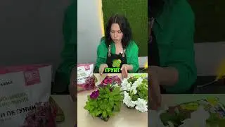 Какие цветы сеять в апреле 2025 года?