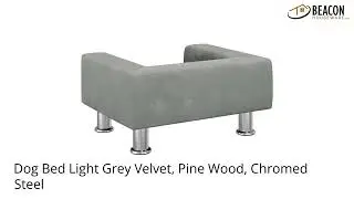Dog Bed Light Grey Velvet Pine Wood Chromed Steel