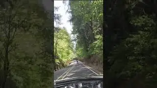 Country Cruise Chaos Fork n Throttle Twists Through Backroad Bliss!  #motorcycle #oregon