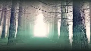 [Eng sub] Tete (테테) - Floral Rain (Acid Punk Dynamite Remix)