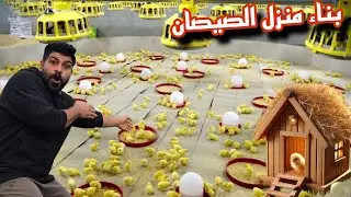 كيف تصنع بيتًا للكتاكيت يساعدها على النمو بسرعة؟