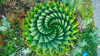 Ancient / Modern Geometry