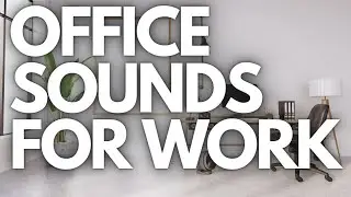 Quiet Office Ambience: The Perfect Soundscape for Productivity and Comfort
