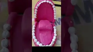 Fullvideo-3D model of🦷teeth (tooth)/school science project/DIYkits making from wastes/recycle waste 
