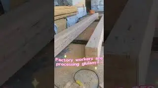 Factory workers are processing glulam#shorts #shortsvideo #shortsyoutobe#housedesign#housetour#cabin
