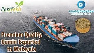 Premium Quality Cumin Seeds Exported to Malaysia | Indian Spices Export