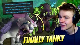 Midnight Feral Just Got Way Tankier