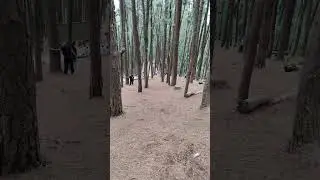 വാഗമൺ...... 😍