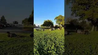 Camera Samples From the Tecno Phantom X2 Pro 5G