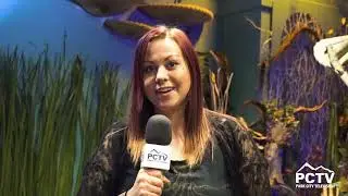 Dreamscapes Hopes To Bring Permanent Interactive Art To Salt Lake