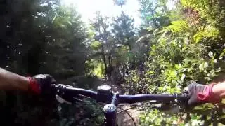 E-Line, West Sechelt