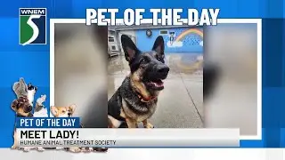 Pet of the Day: Meet Lady