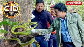 अभिजीत और दया को मिला जंगल में जादुई सांप | CID | Full Episode | Best Of Cid | #newepisode #cid