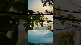 cinematic weather #streetphotography #cinematography #weather #viral
