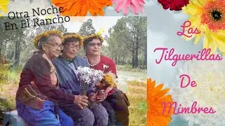 LAS JILGUERILLAS DE MIMBRES || OTRA NOCHE EN EL RANCHO