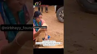 #wayanad #wayanadlandslide #rescue #kerala #dog #doglover #dogs #love #emotional #shorts #short #fy