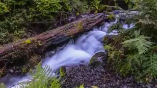10-1-19 Wahkeena to Multnomah Falls Loop Trail [4K]