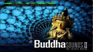 FLASH - Freedom Dub
