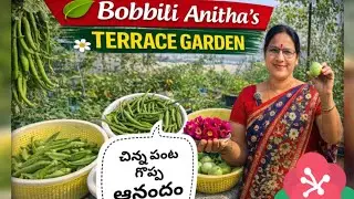 చిన్న పంట, గొప్ప ఆనందం 😍