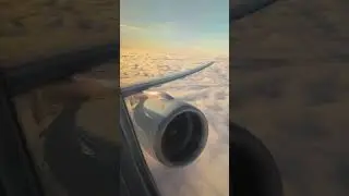Easy answer :) #Aviation #Shorts #YouTube