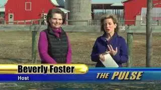 The Pulse: April 2015 (Gale Woods Farm)