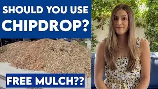 Бесплатная мульча от Chipdrop // Что вам нужно знать