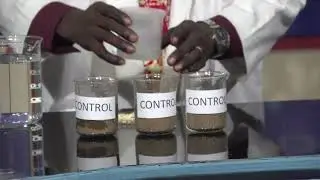 LESSON 4: USING THE SCIENTIFIC METHOD IN A CONTROLLED EXPERIMENT