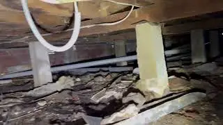 Bloom Inspections | Building & Pest Inspections in Geelong & Melbourne's South Eastern suburbs