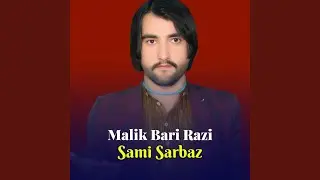 Malik Bari Razi