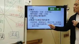 臓腑解説：肝１