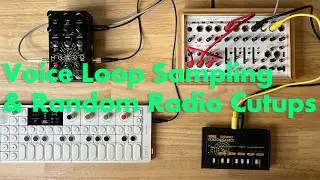 Voice Loop Sampling  & Random Radio Cutups - Lofi ambient : Lossy Compression 2025-09-25 by atnr