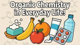 Organic Chemistry in Everyday Life | Fully Animated lecture