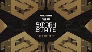 Binary State - Still Waters