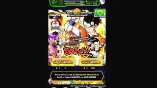 Yolo summon