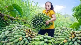 Harvesting large bunches of bananas, ginger, duck eggs to sell at the market, making popcorn