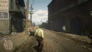 Never Heard An NPC Say This Before | Red Dead Redemption 2 (RDR2)