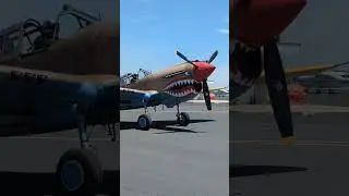 P-40 Warhawk Engine Start