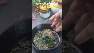 ഹോട്ടൽ സ്റ്റൈൽ ചിക്കൻ റോസ്റ്റ് | Variety Chicken Roast Recipe Malayalam | Chicken Roast Recipe Short