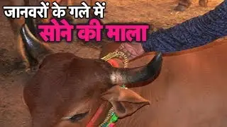 MLA Anant Singh का ये कारनामा आपको हैरत में डाल देगा ! | Bihar Tak