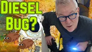 Marine Diesel DIRTY FUEL? How to Check and Prevent!