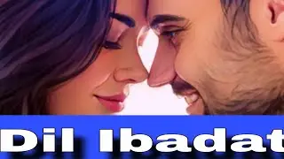 Dil Ibadat | Tum Mile | Bollywood Movie Song | Love & Emotional ❤️