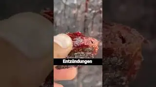 Drachenblutbaum: Das Geheimnis des roten Saftes, der Wunden heilt!