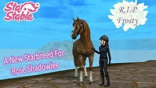 Star Stable Online; A new Starbreed for Rose Shadowlee