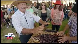 PEÑAFLOR: La Fiesta de la Vendimia y su Parque el Trapiche en Programa “Nos Vamos de Vlog” de TVN