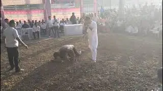 बराबर कि कुश्ती (बिहार जनसेवा संघ)