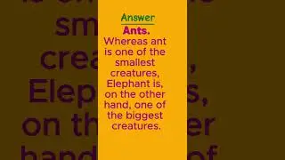 Treasure Hunt In The World Of Riddle With 