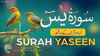 Surah Yaseen / Yasin with Urdu Tarjuma | Quran tilawat | Episode 580 | Quran with Urdu Translation